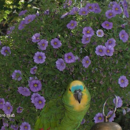 مبيت وإفطار Hollola Jokelan Kartano المظهر الخارجي الصورة